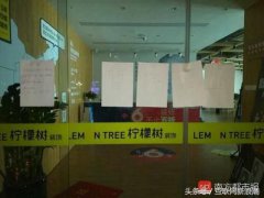 柠檬树装修公司骗局，几十万没了，引以为戒